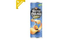 Master Potato Salt & Vinegar Flavored Chips 160 g